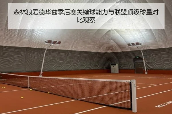 森林狼爱德华兹季后赛关键球能力与联盟顶级球星对比观察