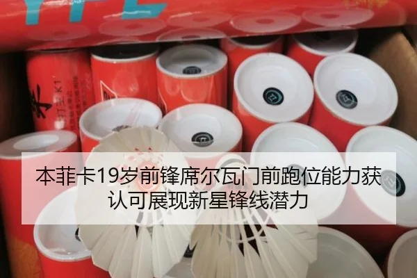本菲卡19岁前锋席尔瓦门前跑位能力获认可展现新星锋线潜力